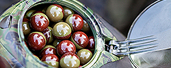 material bosc de paintball a Tarragona